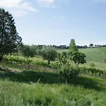 La Madonnina 3* سينِغاليا