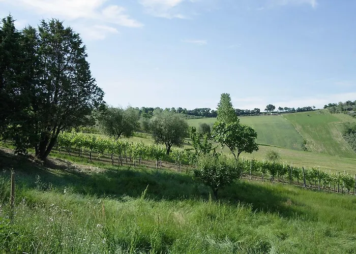 La Madonnina 3* Senigallia